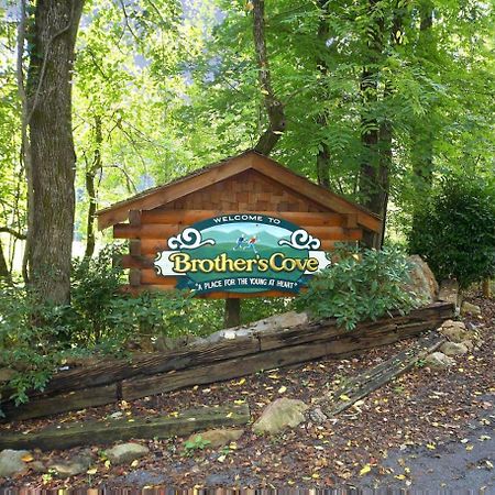 Mountain Magic #73 Villa Sevierville Bagian luar foto